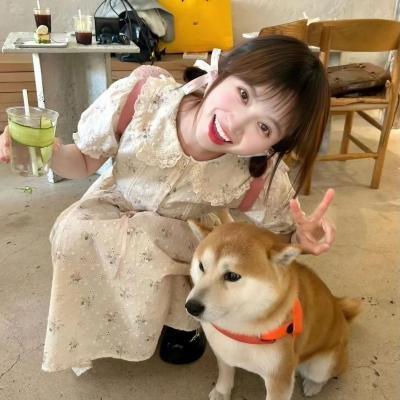 征子 海报
